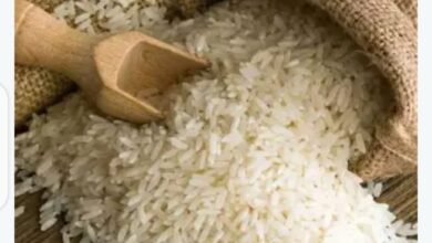 قرار حكومي عاجل بشأن تنظيم تداول الأرز في الأسواق بعد موافقة وزارة التموين