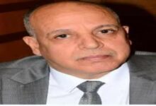 نائب رئيس حزب الغد الشراكة المصرية الإماراتية تعزز الاقتصاد المصري
